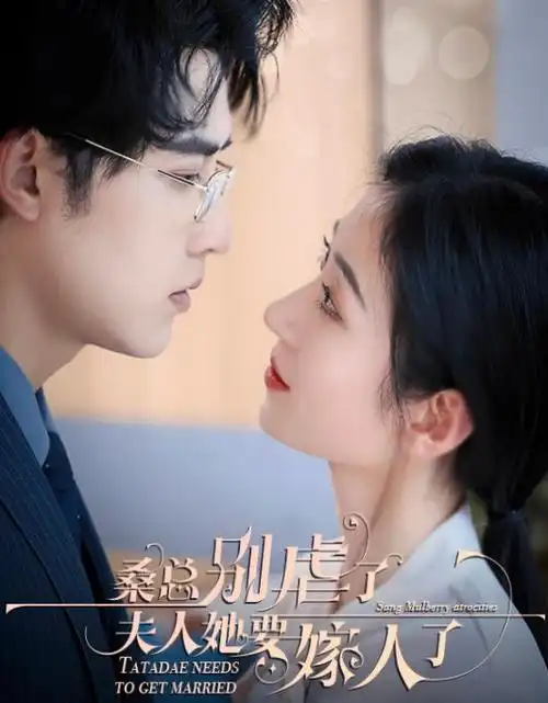 城市之光 电视剧海报